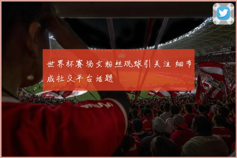 世界杯赛场女粉丝观球引关注 细节成社交平台话题