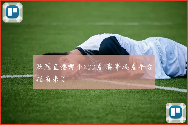 欧冠直播哪个app看 赛事观看平台指南来了