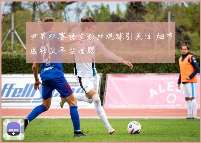 世界杯赛场女粉丝观球引关注 细节成社交平台话题